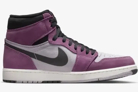 Nike Air Jordan 1 High Element Gore-Tex