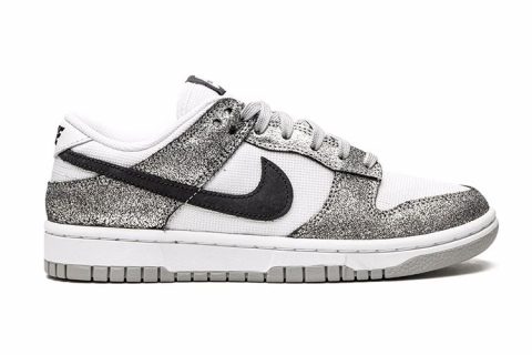 Nike Dunk Low Sneakers Zilver-Wit