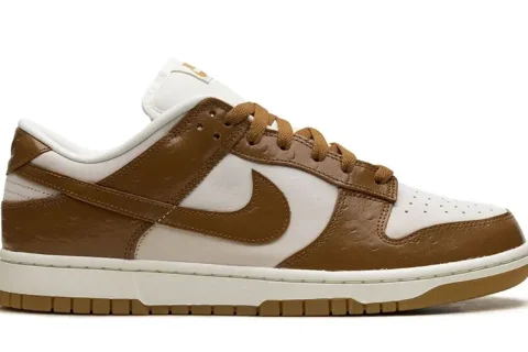 Nike Dunk Ale Brown Sneakers
