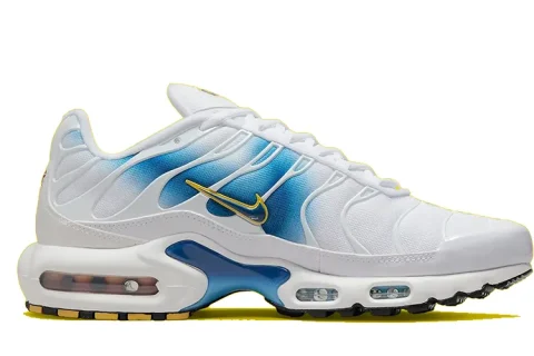 Nike Air Max Plus Sneakers Wit-Blauw