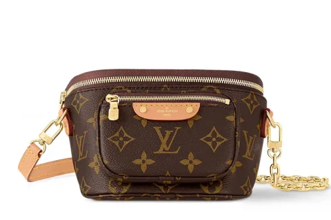 Louis Vuitton Mini Bumbag Bruin