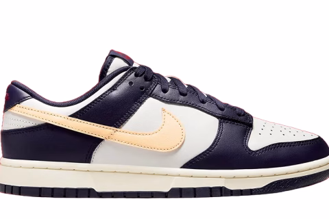 Nike Dunk Low Retro ''From Nike To You'' Sneakers
