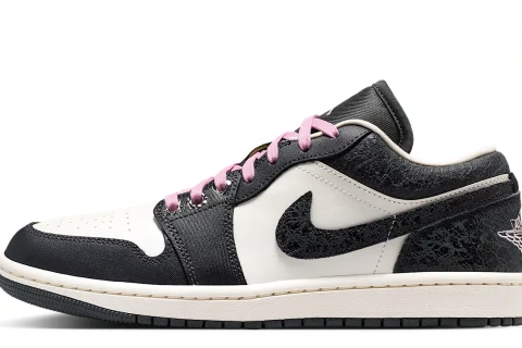 Nike Air Jordan 1 Low SE "Anthracite Sail Coconut Milk Iced Carmine" Dames schoenen