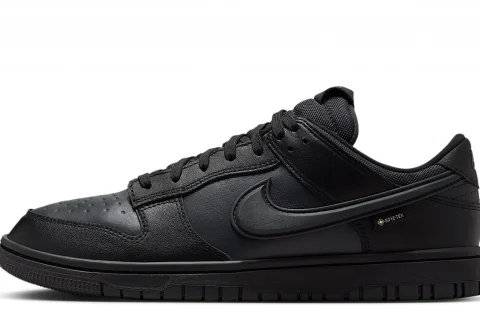 Nike Dunk Low GORE-TEX "Zwart Anthracite Off Noir" Heren schoenen